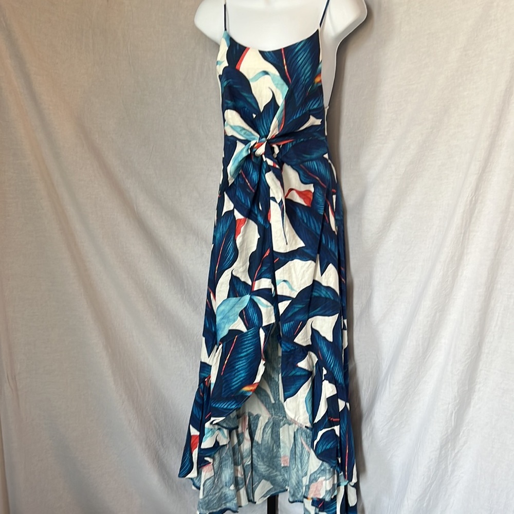 Anthropologie Farm Rio dress. Tropical Print Boho Dress